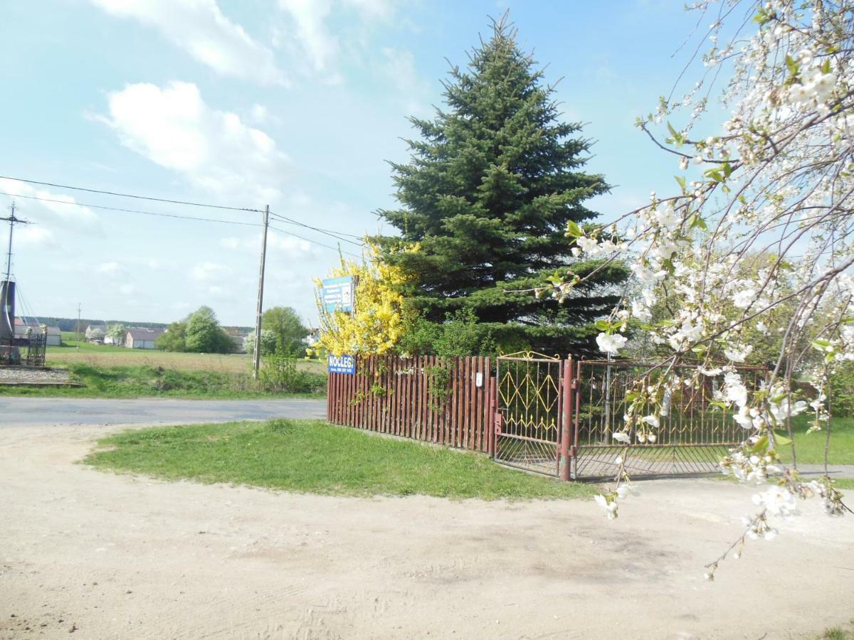 Niezapominajka Villa Jenki ภายนอก รูปภาพ